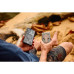 UAG Urban Armor Gear puzdro PATHFINDER CLEAR MAGNET so zabudovaným magnetom pre SAMSUNG S25 Plus 5G ash