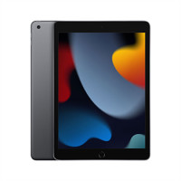 iPad Wi-Fi 256GB Space Gray (2021)