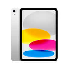 iPad Wi-Fi + Cellular 256GB Silver (2022)