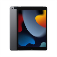 iPad Wi-Fi + Cellular 64GB Space Gray (2021)
